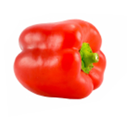 Pepper Red - 1 each – Fresh Connect