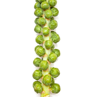 Brussel Stalks - each