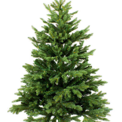 Nordmann Premium Grade Real Christmas Tree